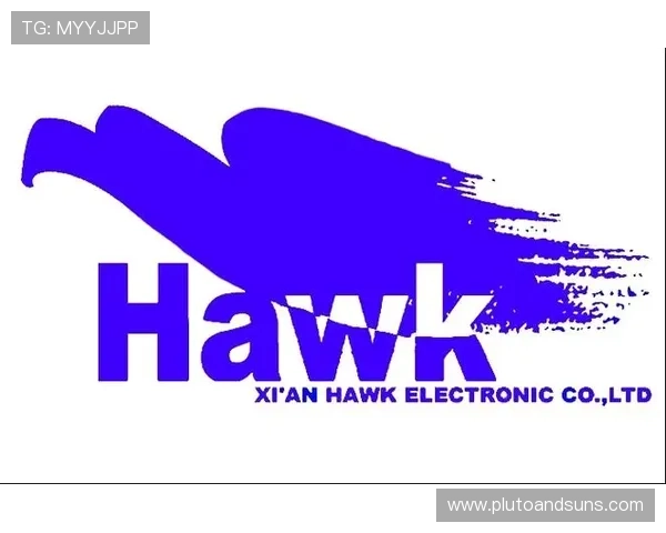 凯时ag旗舰厅官网2024年最新发展战略，助力平台持续稳健增长